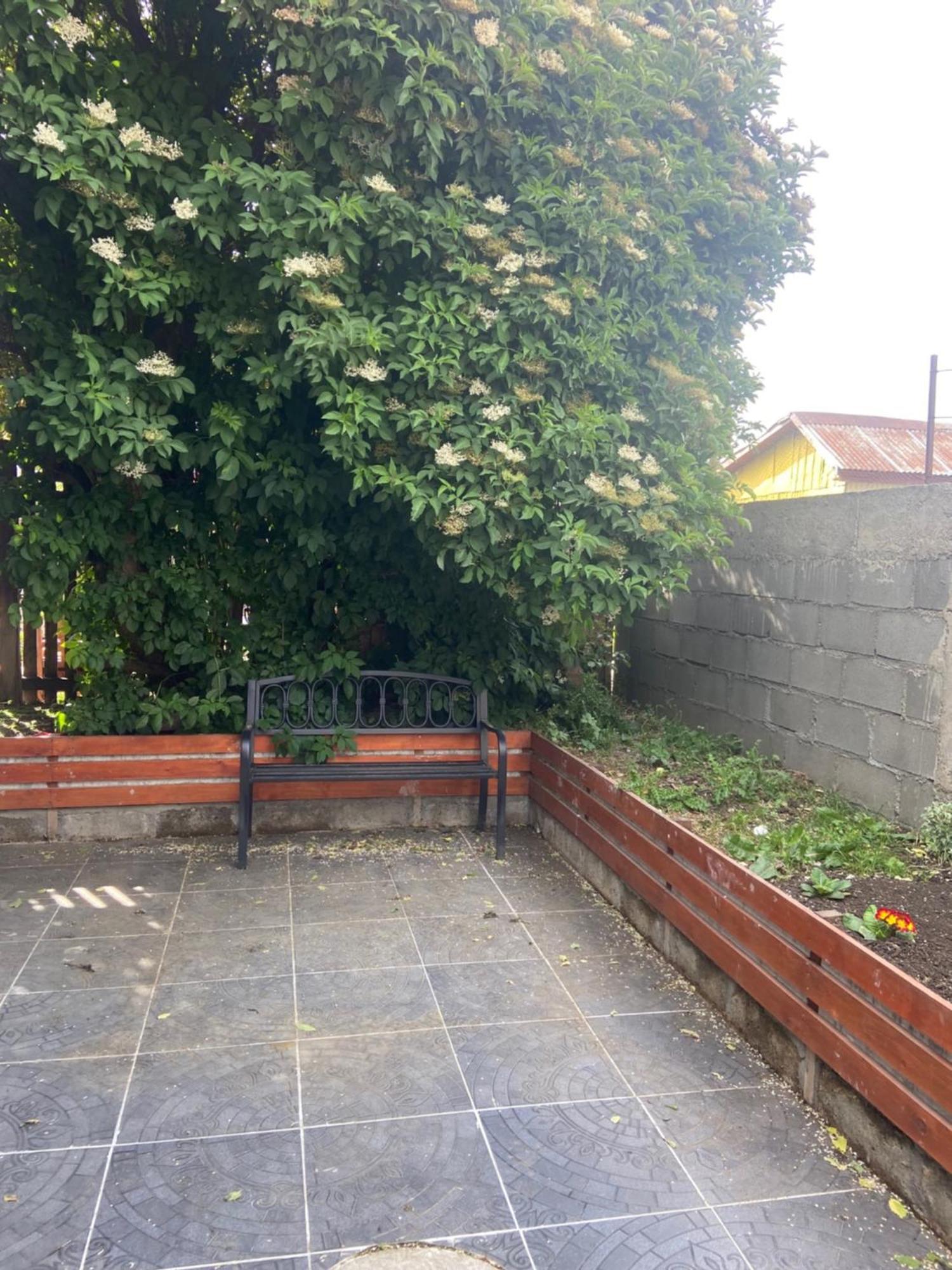 Cabanas Bosque Austral 푼타아레나스 외부 사진